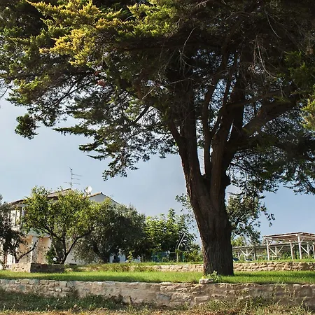 Degli Aranci * קופרה מריטימה